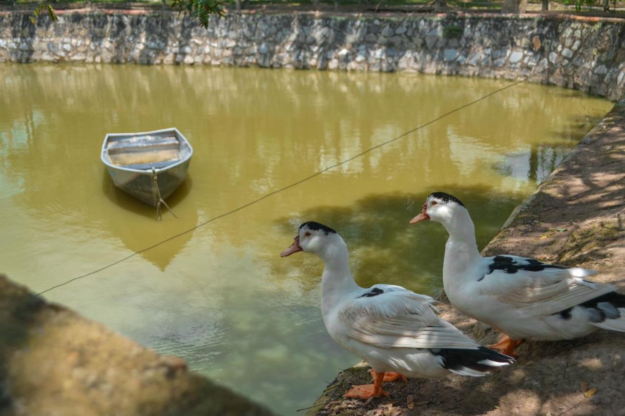 Chacara Maluco Beleza 2 Villa Gravatá Dış mekan fotoğraf