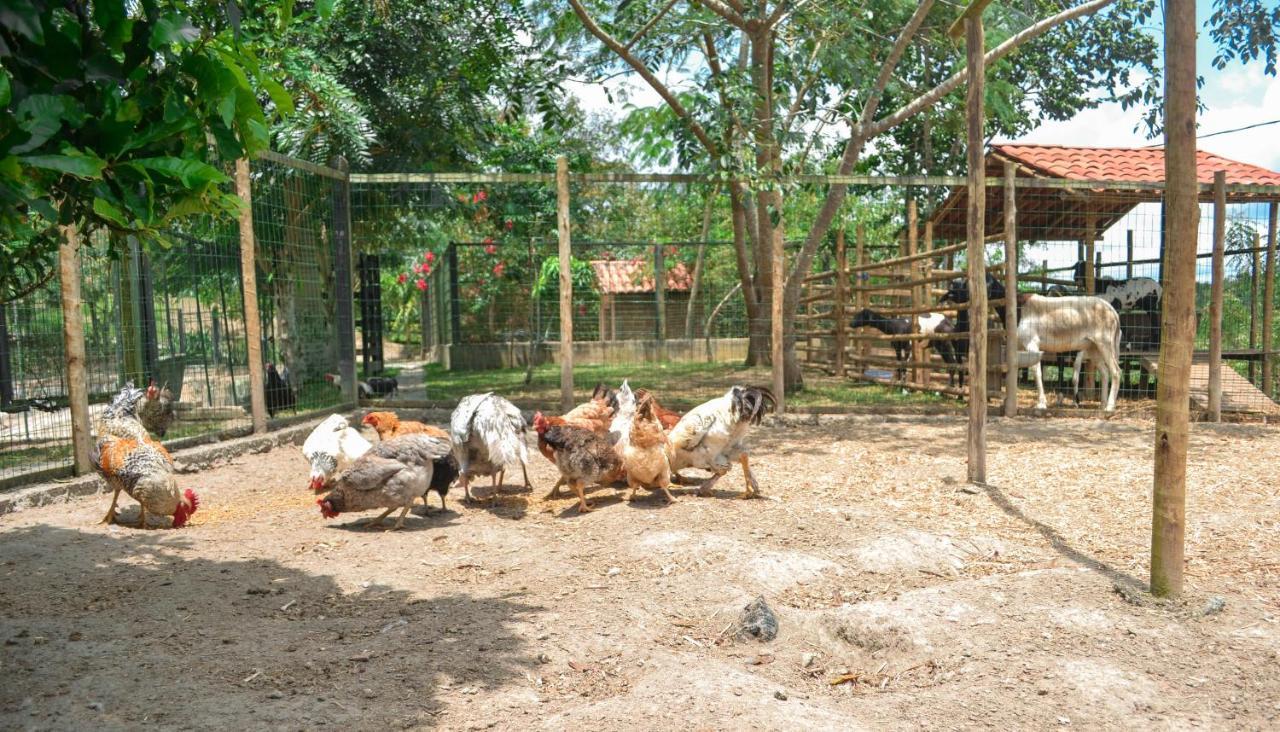 Chacara Maluco Beleza 2 Villa Gravatá Dış mekan fotoğraf