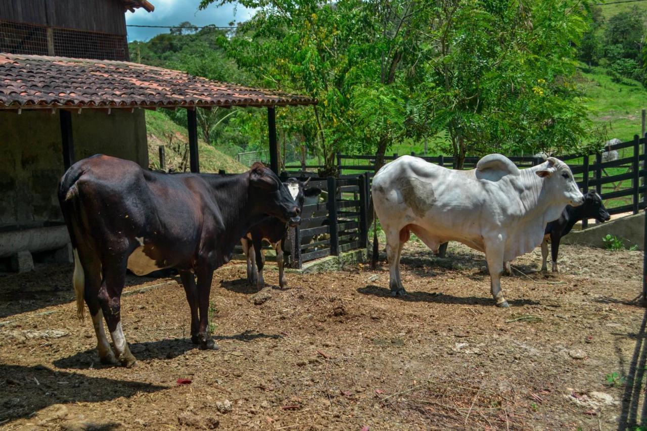 Chacara Maluco Beleza 2 Villa Gravatá Dış mekan fotoğraf